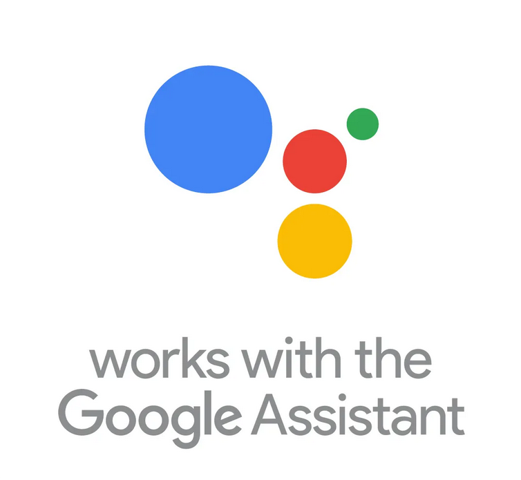 Works with the Google Assistant